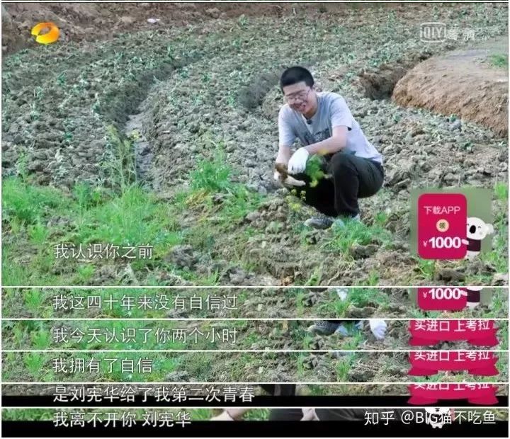 李诞说成都吃喝玩乐,李诞的受众