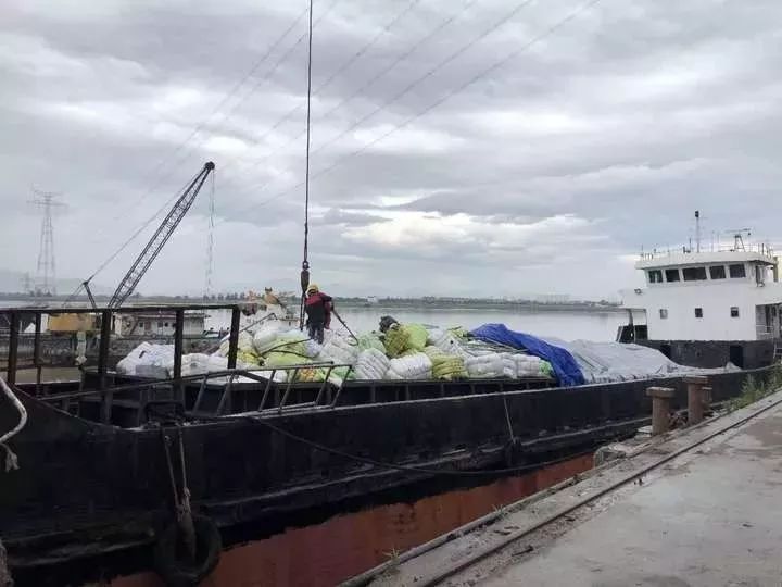 大连海关查获1848吨洋垃圾,海关退运洋垃圾3700多吨