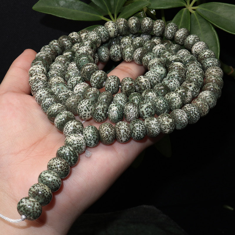 星月菩提的盘玩方法速成,新入手的星月菩提正确的盘玩步骤