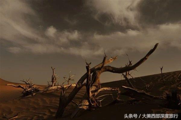 被旅游大军夸赞的高速,新疆最美公路有必要去么