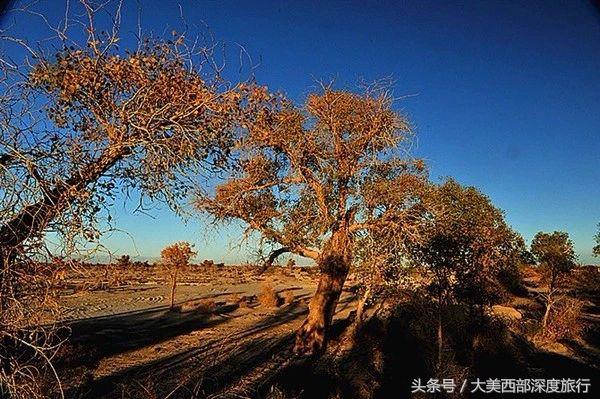 被旅游大军夸赞的高速,新疆最美公路有必要去么