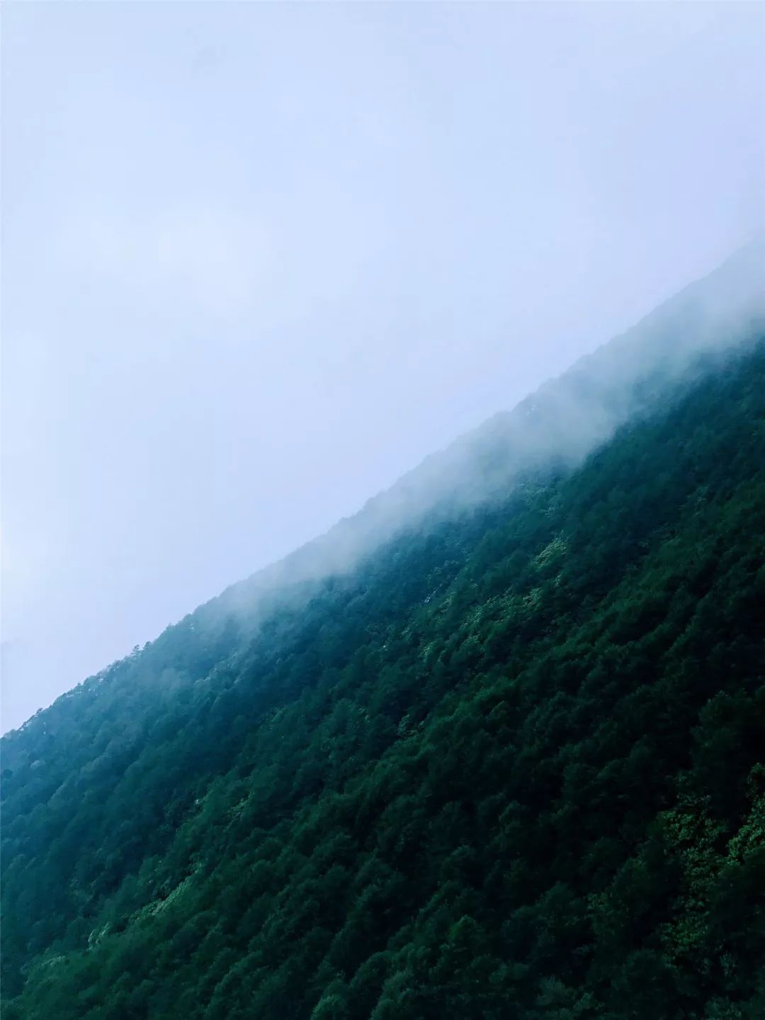 去太白山是干什么的,去太白山除了泡温泉还能干嘛