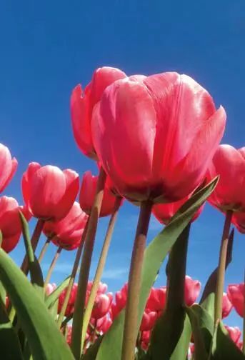 分享随手一拍都是美景,分享随走随拍大自然的美景