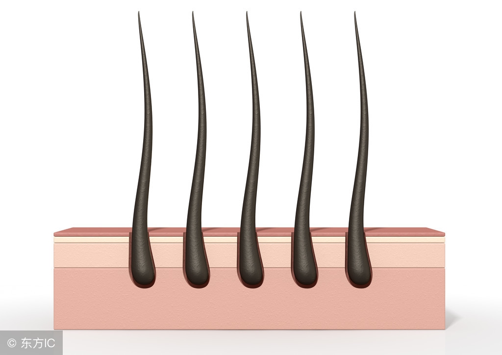 关于脱发斑秃病因你知多少,斑秃脂溢性脱发怎么生发和增发