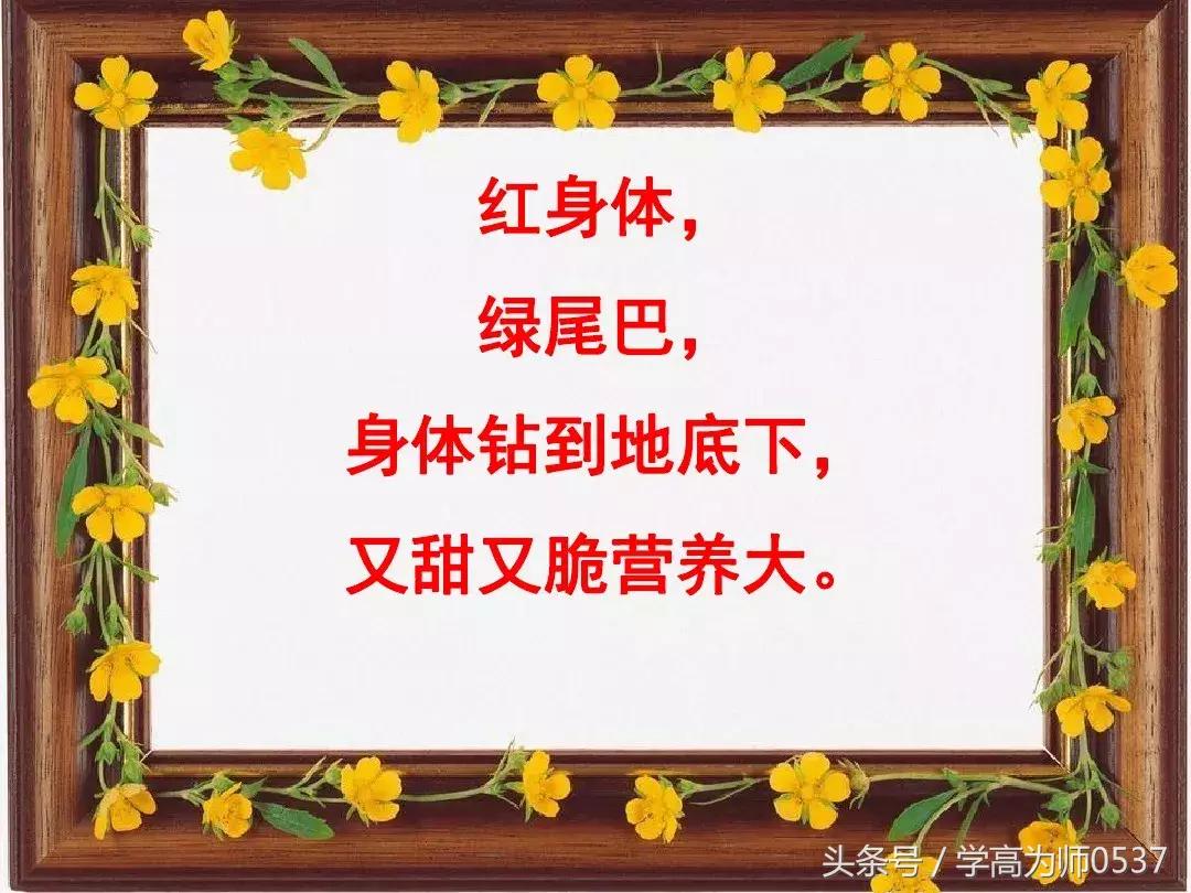 我最喜欢的一件物品五年级作文,五年级上册介绍一件物品作文