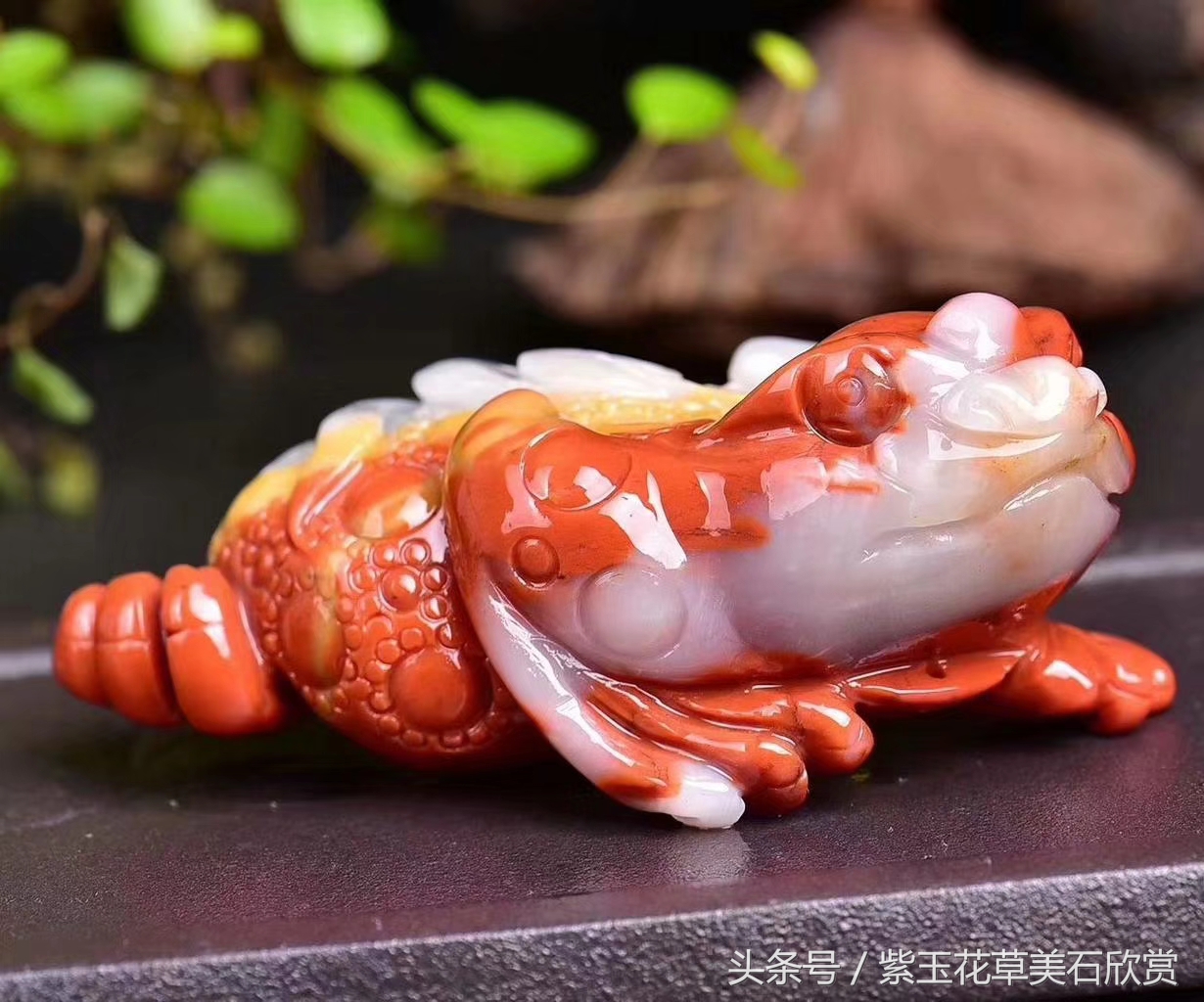 它被称为瑞兽，为什么做生意的人都喜欢它？看完就知道了