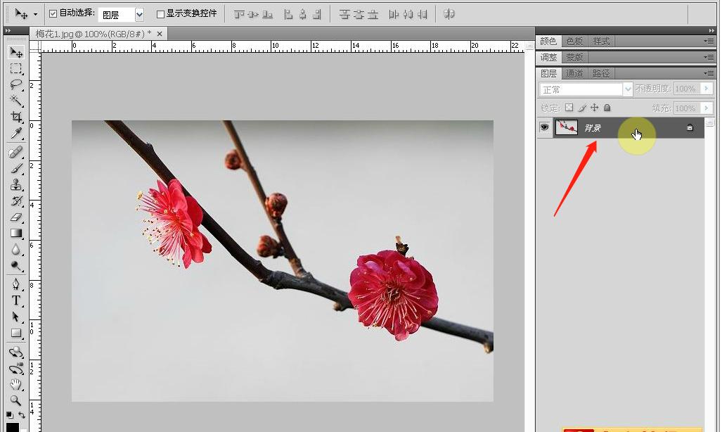 ps小白入门教程零基础抠图,ps小白入门基础教学导入图片