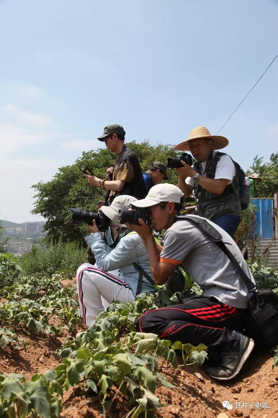 什么情况？八位摄影大咖竟然齐聚甘井子街头……