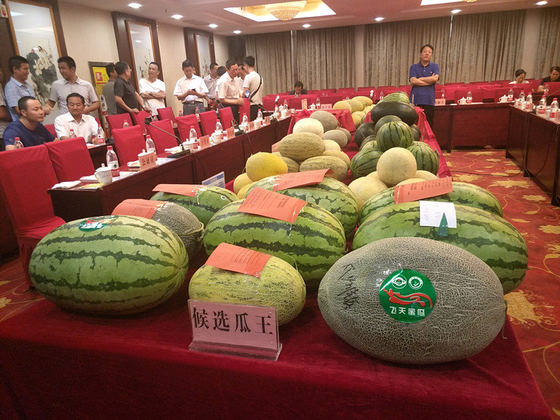 瓜王究竟花落谁家，我只想做个明白真相的吃瓜群众