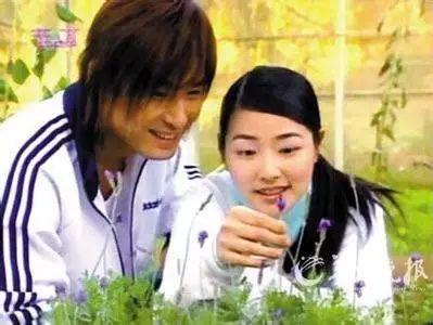 708090后的怀旧经典电视剧,7080的经典电视剧有哪些