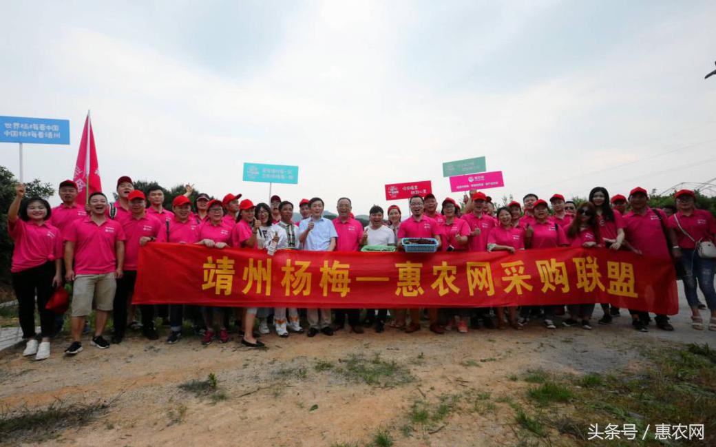 互联网在农业中的未来发展与启发,农业互联网的十种模式