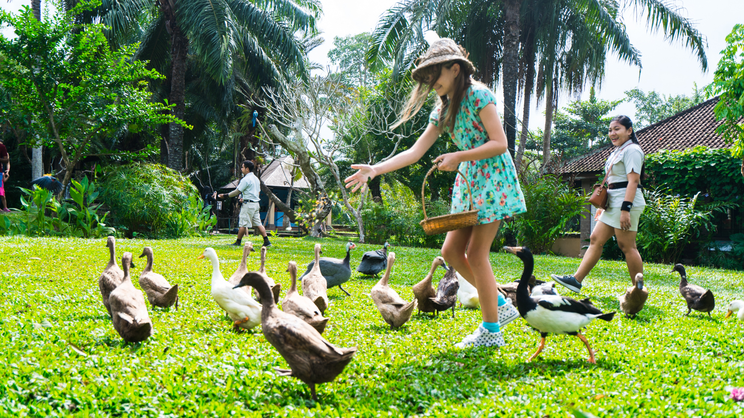 去巴厘岛跟团好不好,巴厘岛跟团游最佳攻略