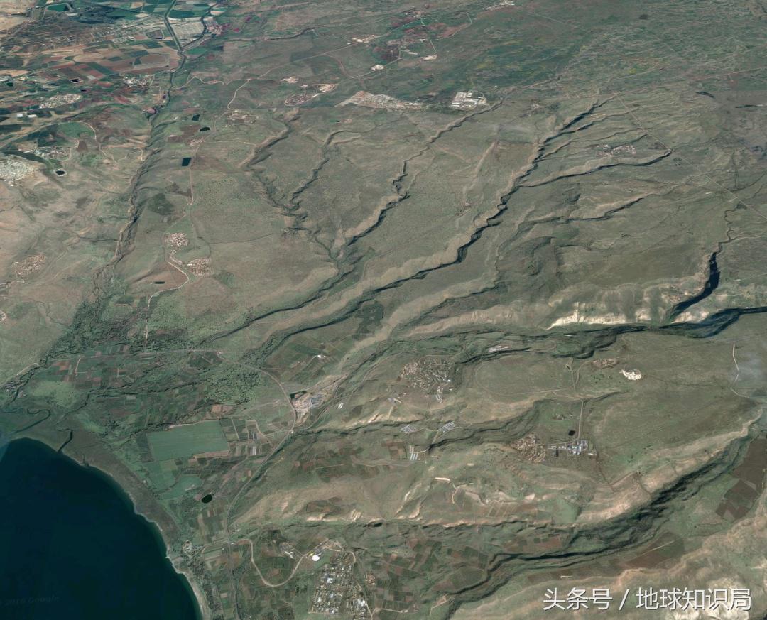 以色列为什么欺负巴勒斯坦,以色列为什么欺负叙利亚