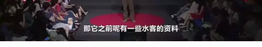 代购去哪里了,代购消失了