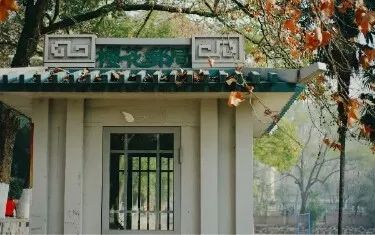 边踢球边学习孩子的未来,读书踢球两不误