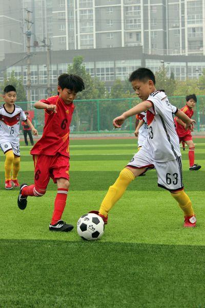 体育武术拳,体育散打组合拳