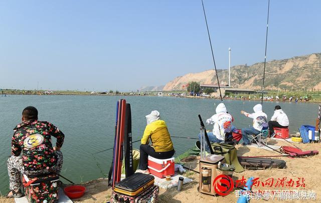 合阳洽川黄河湾,合阳钓鱼大赛