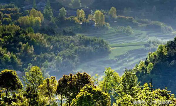 桐庐这些如诗画般高颜值精品民宿,桐庐有哪些隐藏的民宿