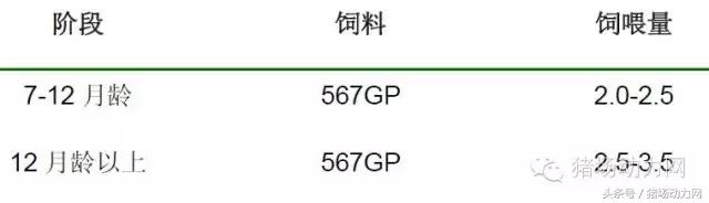 猪场分娩舍有哪些重点,猪场正常分娩接产的操作流程