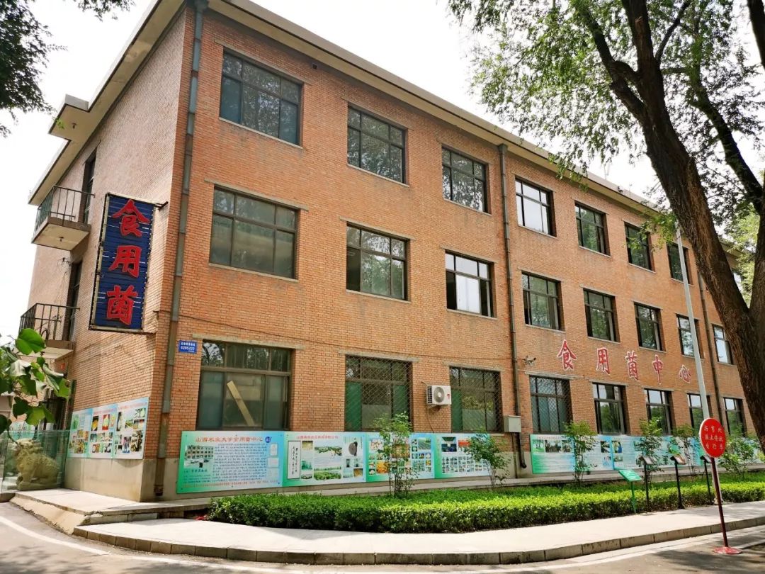 萌新攻略选修课,萌新攻略实用