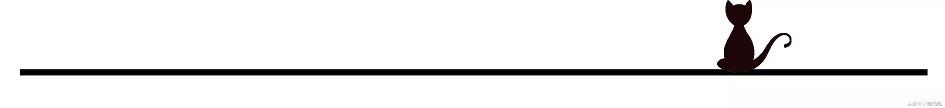 冬季choker颈带,choker小清新推荐