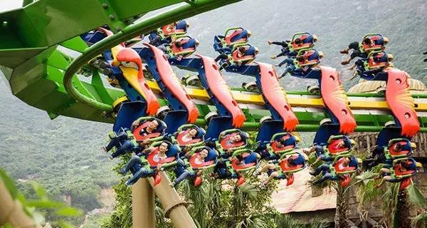 珠海长隆学到的5件事,去珠海长隆的感想是什么样的