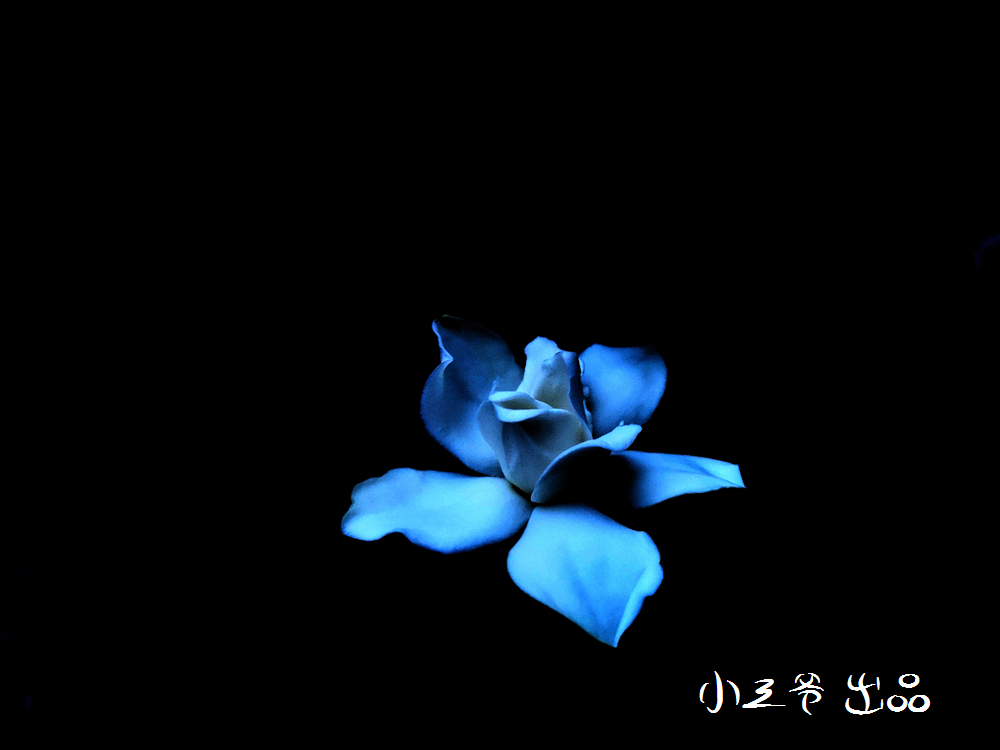 华为p20和nova5pro哪个值得入手,华为p20和p20pro拍照对比