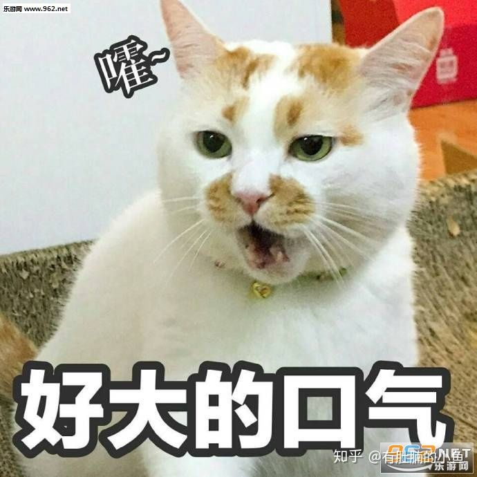 猫咪没有精神老是睡觉是怎么回事,猫咪睡觉咕咕咕的声音是怎么回事