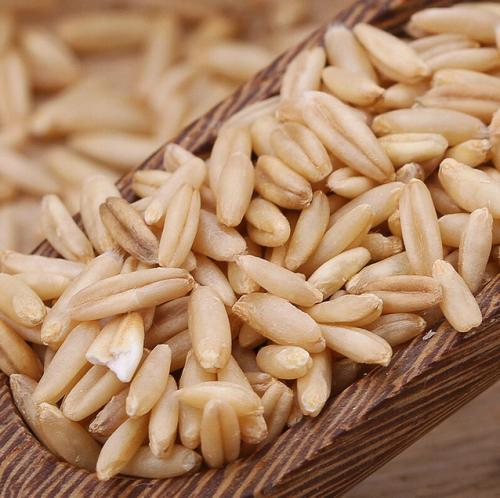 糖尿病人粗粮和大米搭配比例,糖尿病人与正常人吃饼干