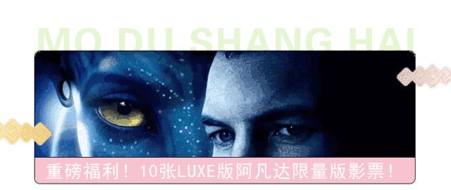 从上海坐高铁到香港需要什么条件,上海可以乘高铁去香港吗