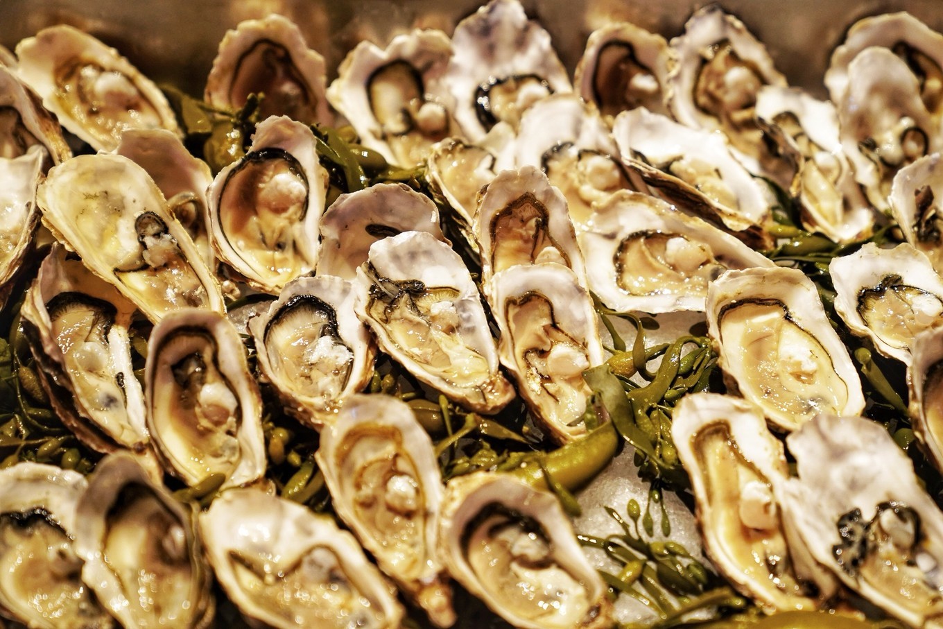 迪拜沙漠里的奇迹之城,沙漠之城迪拜旅行