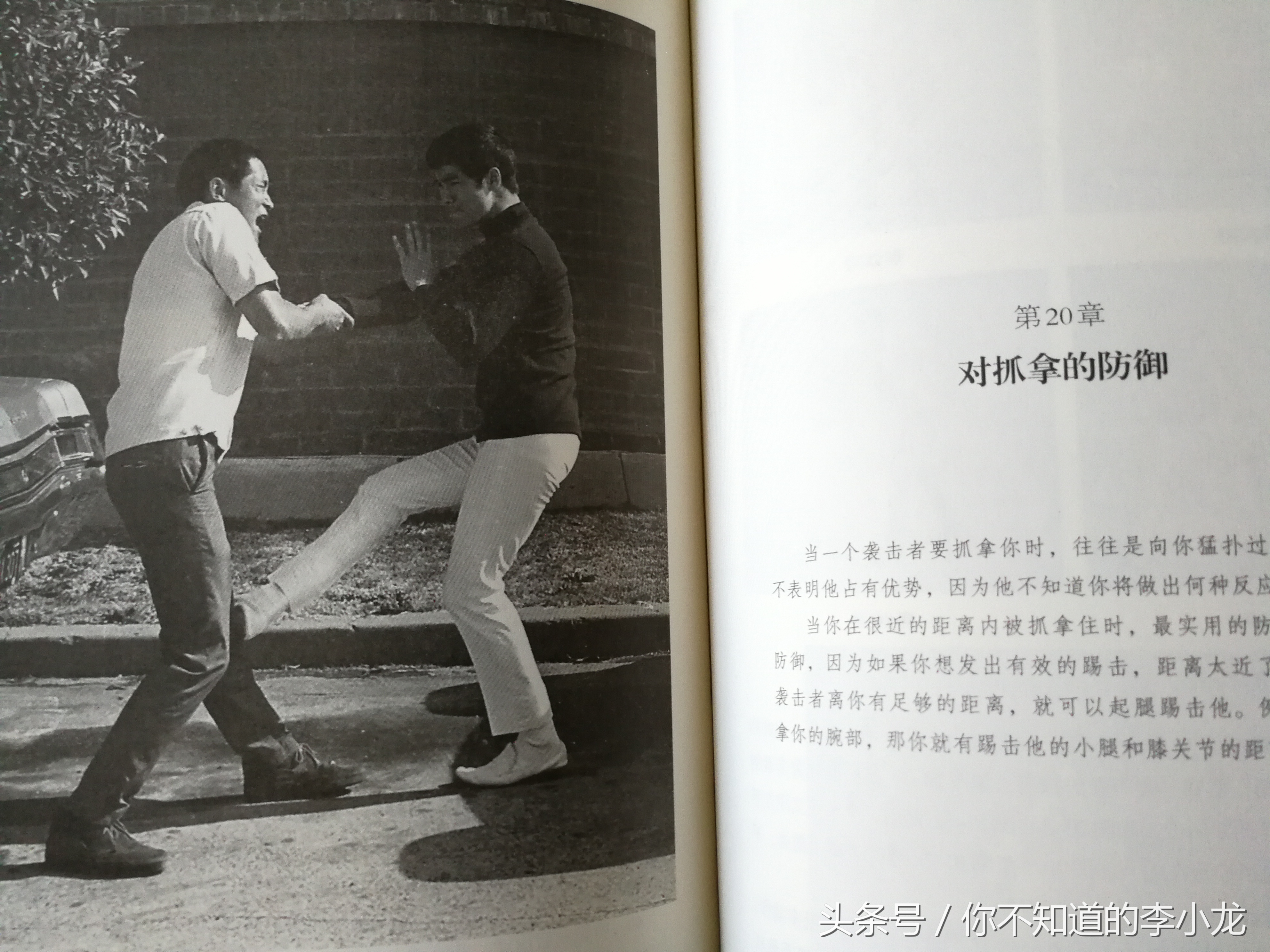 李小龙截拳道致敬李小龙,李小龙传奇李小龙截拳道多少集