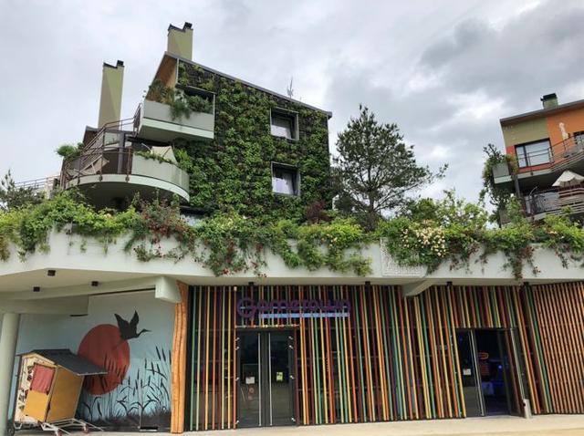 法国对中国房地产的态度,法国对中国房价的看法