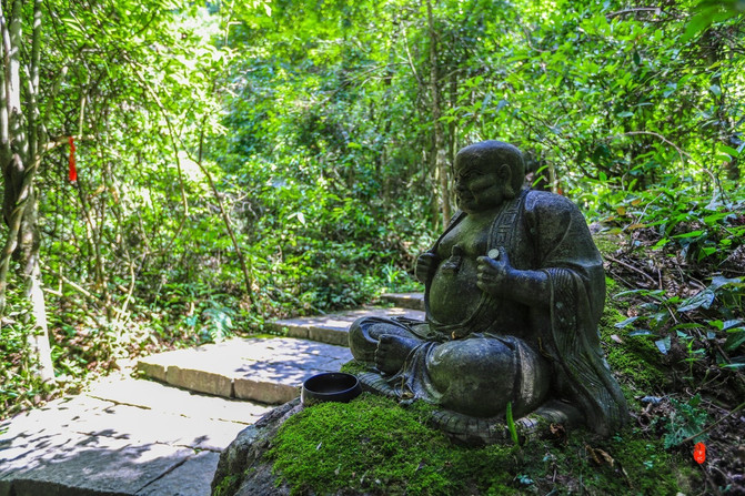 遂昌，一个在浙江只有25度的县城，被江浙沪誉为最值得度假的地方
