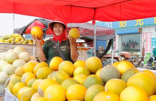 走遍天涯海角忘不了歌名叫什么,走遍天涯海角忘不了原唱