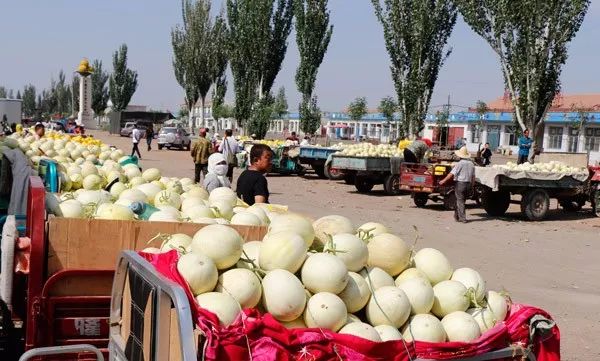 走遍天涯海角忘不了歌名叫什么,走遍天涯海角忘不了原唱