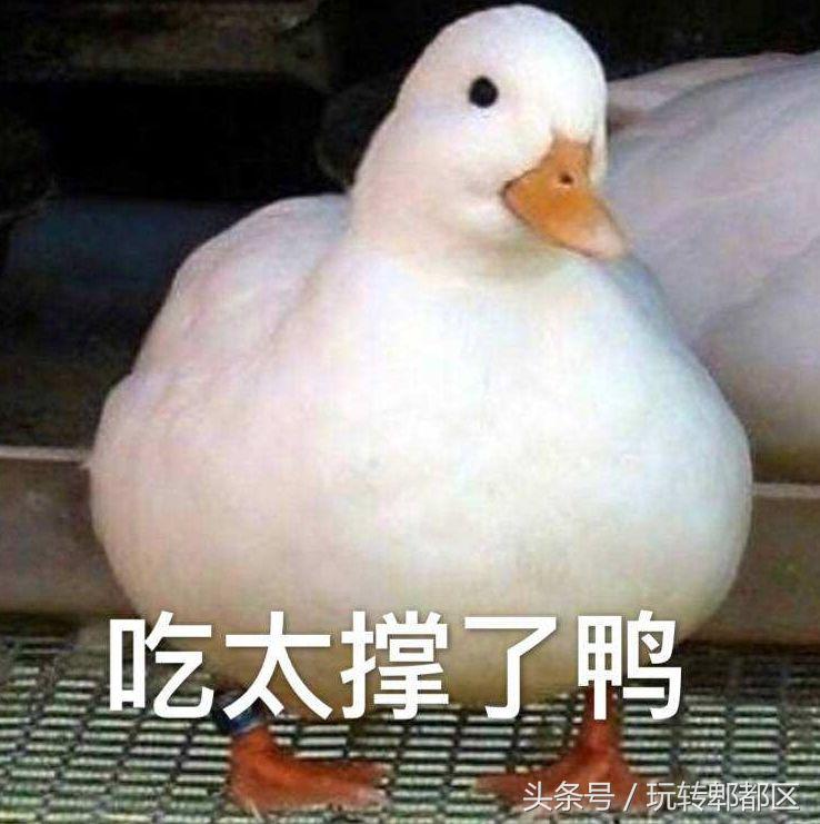 郫都野外自助烧烤,郫都红光户外自助烧烤