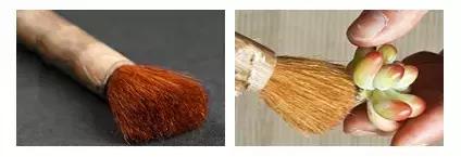 如何清理灰尘让多肉变成小清新……