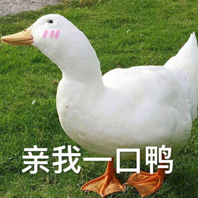 *力暴**拆解3款网红洁面仪，我发现一个大秘密Skrrrr