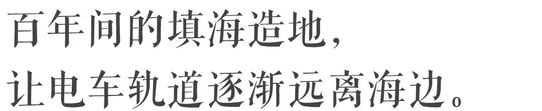 香港—连鸽子都已经习惯了“叮叮车”的节奏