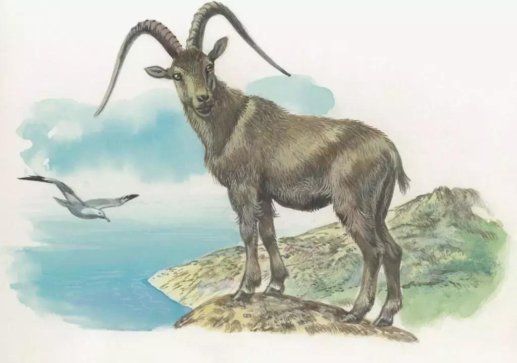 威海羊亭全景图,威海羊亭周边好风景