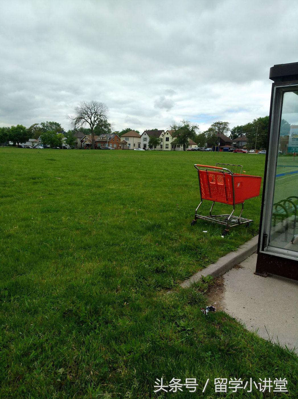 在加拿大生活真的非常舒服,加拿大纳奈莫生活体验