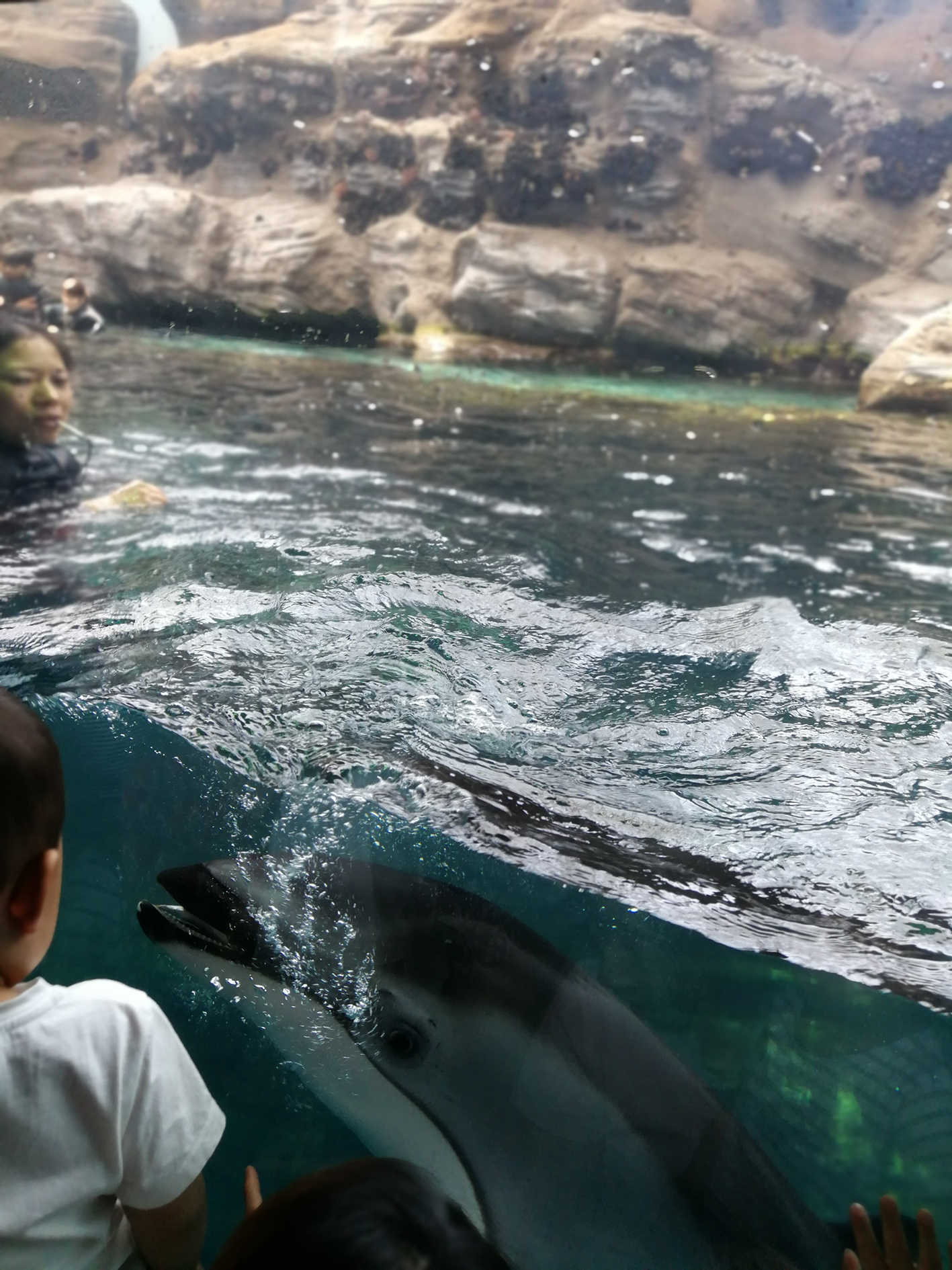 日本乐高亲子游,日本乐高亲子游玩中心在哪