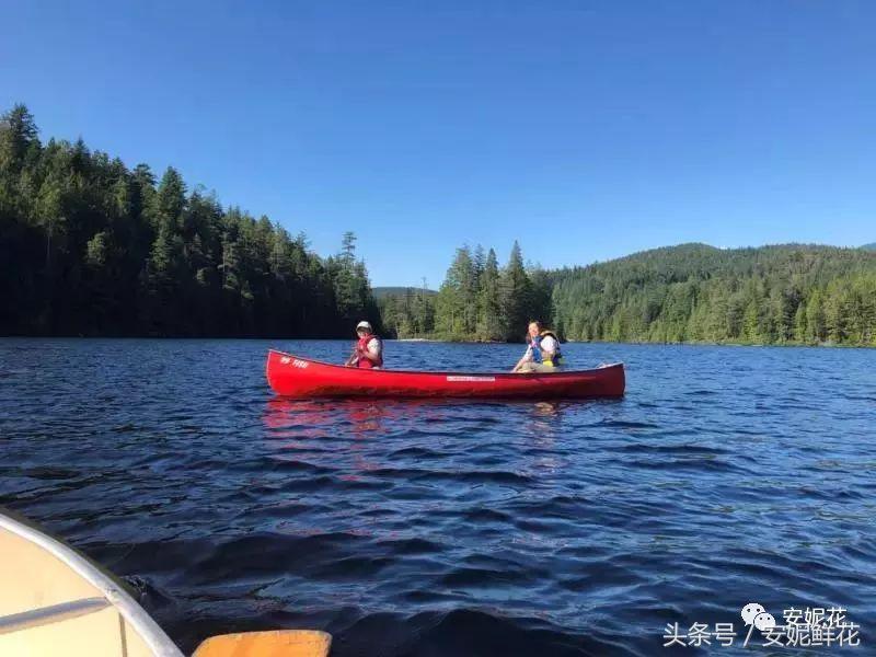 浸入式体验北美教育，安妮花2018童子军夏令营跨国行记