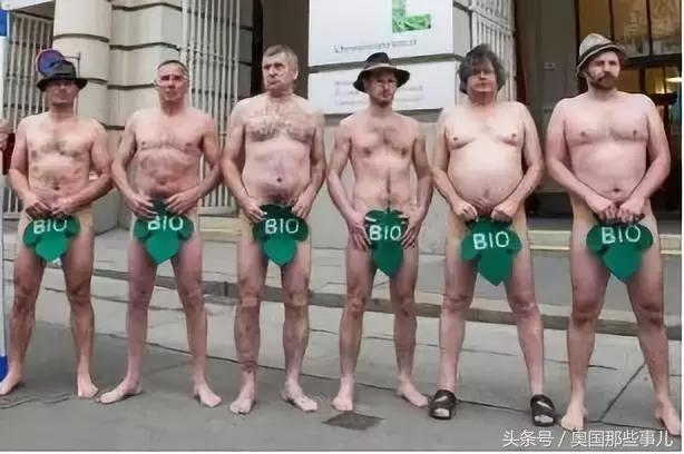 中国版的奥地利,新奥地利