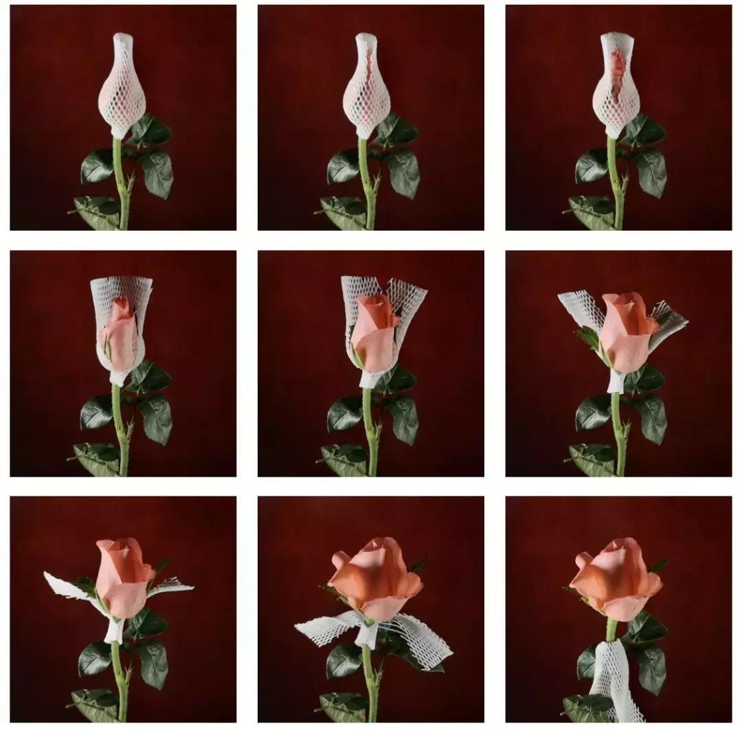 手机拍摄九宫格,手机摄影九宫格怎么设置