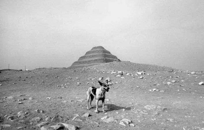 阿波罗航天计划背后隐藏的秘密,拯救阿波罗