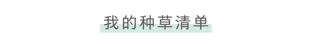 美瞳新手自然款推荐,戴了10年美瞳的老司机