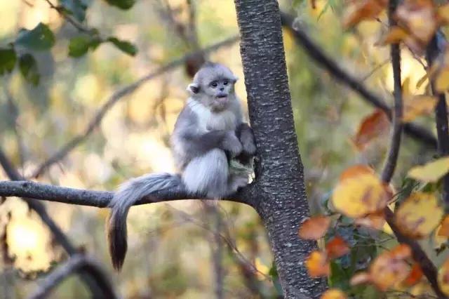 张程皓图片,张程皓照片