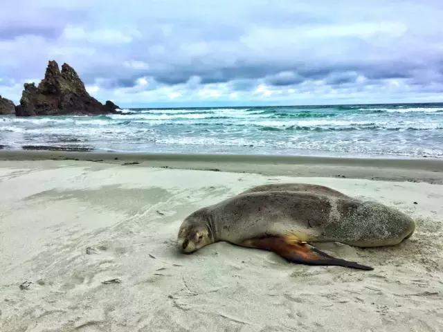 张程皓图片,张程皓照片